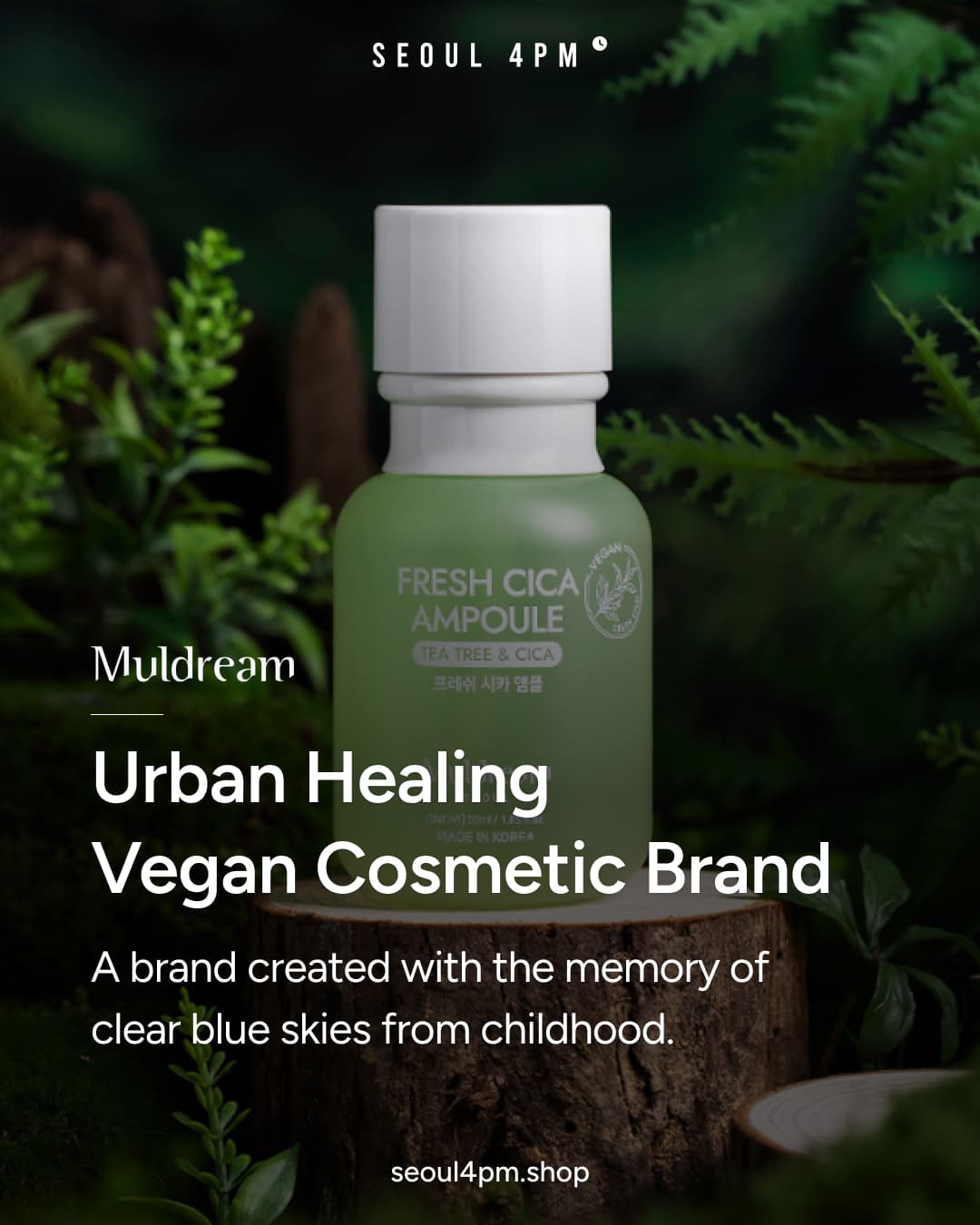 𝗠𝗨𝗟𝗗𝗥𝗘𝗔𝗠 : Urban Healing Vegan Cosmetic Brand