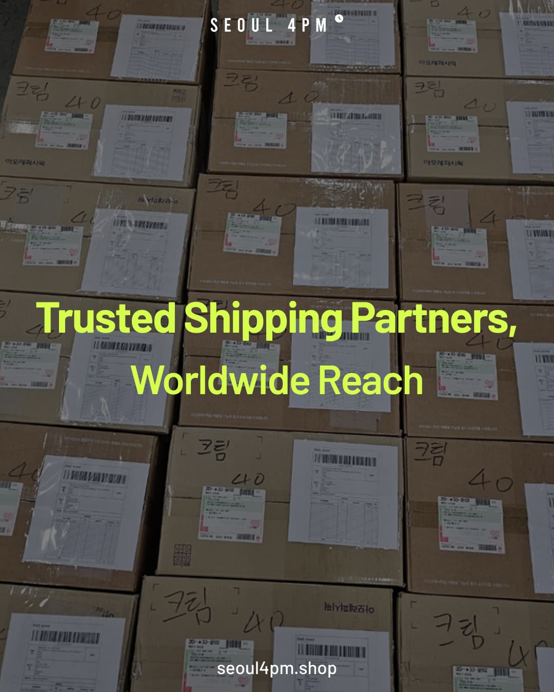 Trusted Shipping Partners, Worldwide Reach