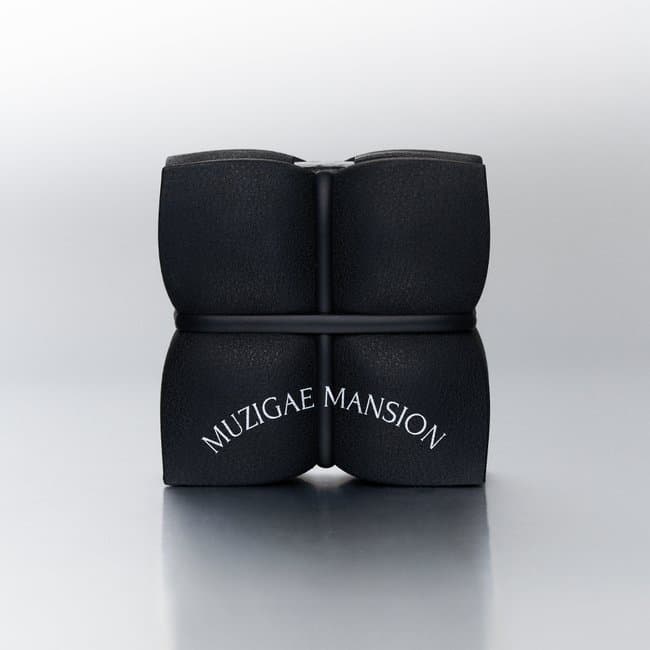 Sleek Matt Cushion N21 (15g)